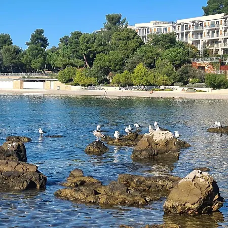 Tena Croatia Apartman Rovinj
